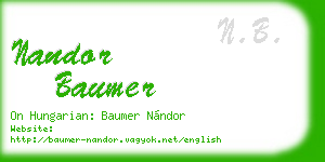nandor baumer business card